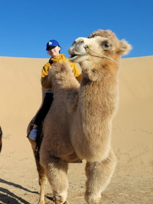 노마드 몽골🐎🔥11D-CGT