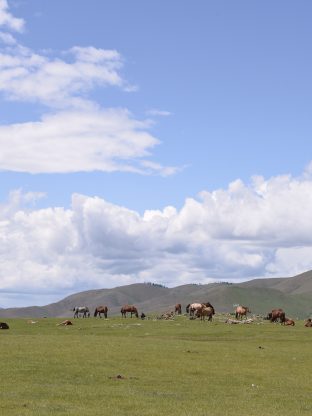 사막과 폭포 그리고 온천 🏜️💧♨️ 4D-COH