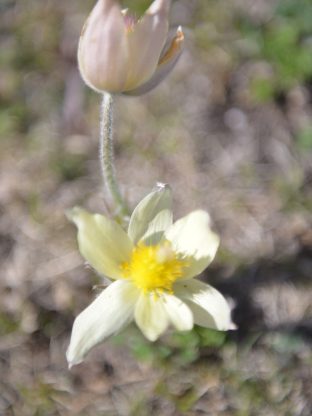 블루 판타지🌊7D-K2H
