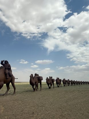 사막과 초원의 만남 7D-GT