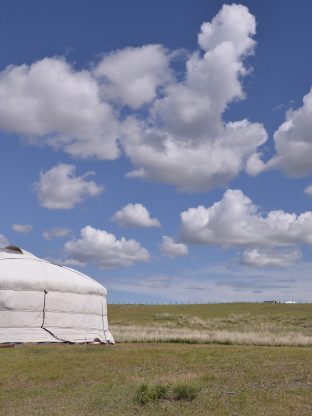 여유로운 자연 속 힐링 🍃💧 5D-COOH