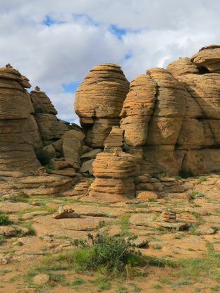 몽골 시그니처 여행10D-CGT 🏜️
