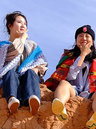 고비의 여섯 가지 색 🎨🏜️ 6D-G