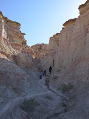 사막의 빛과 초록의 시간🌿9D- CGH