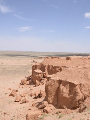 사막과 산의 모험🔆 10D-CG