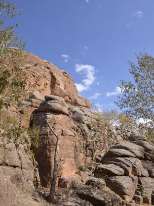 모래언덕의 속삭임 🌬️🌵7D-G