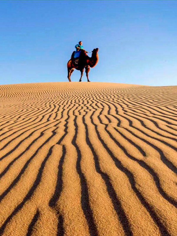 Gobi region